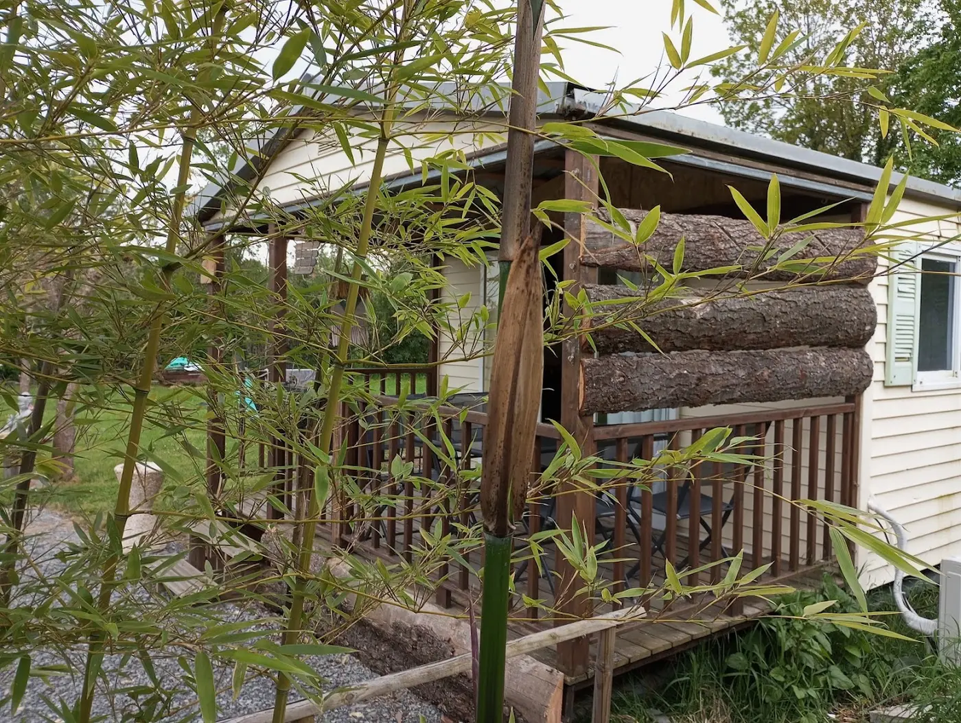 La guinguette de la Grenouille de Saint Martin des Lais · Photos 2